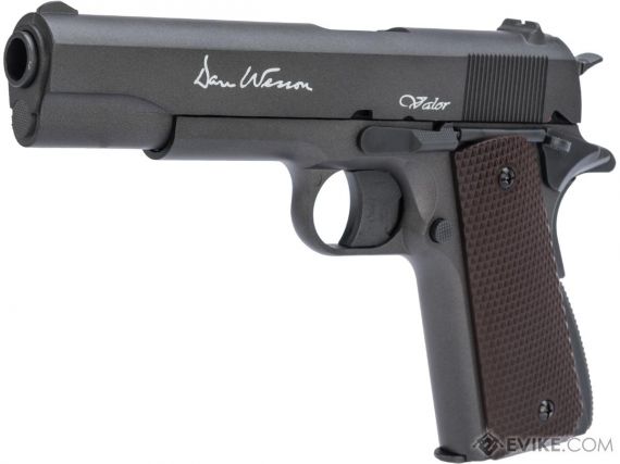 Photo of Dan & Wesson Valor